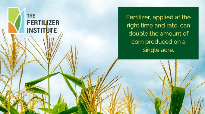 Feeding 8 billion people in 2022